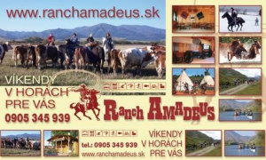 Ranch Amadeus - kone